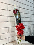 Standard Single RED Rose
