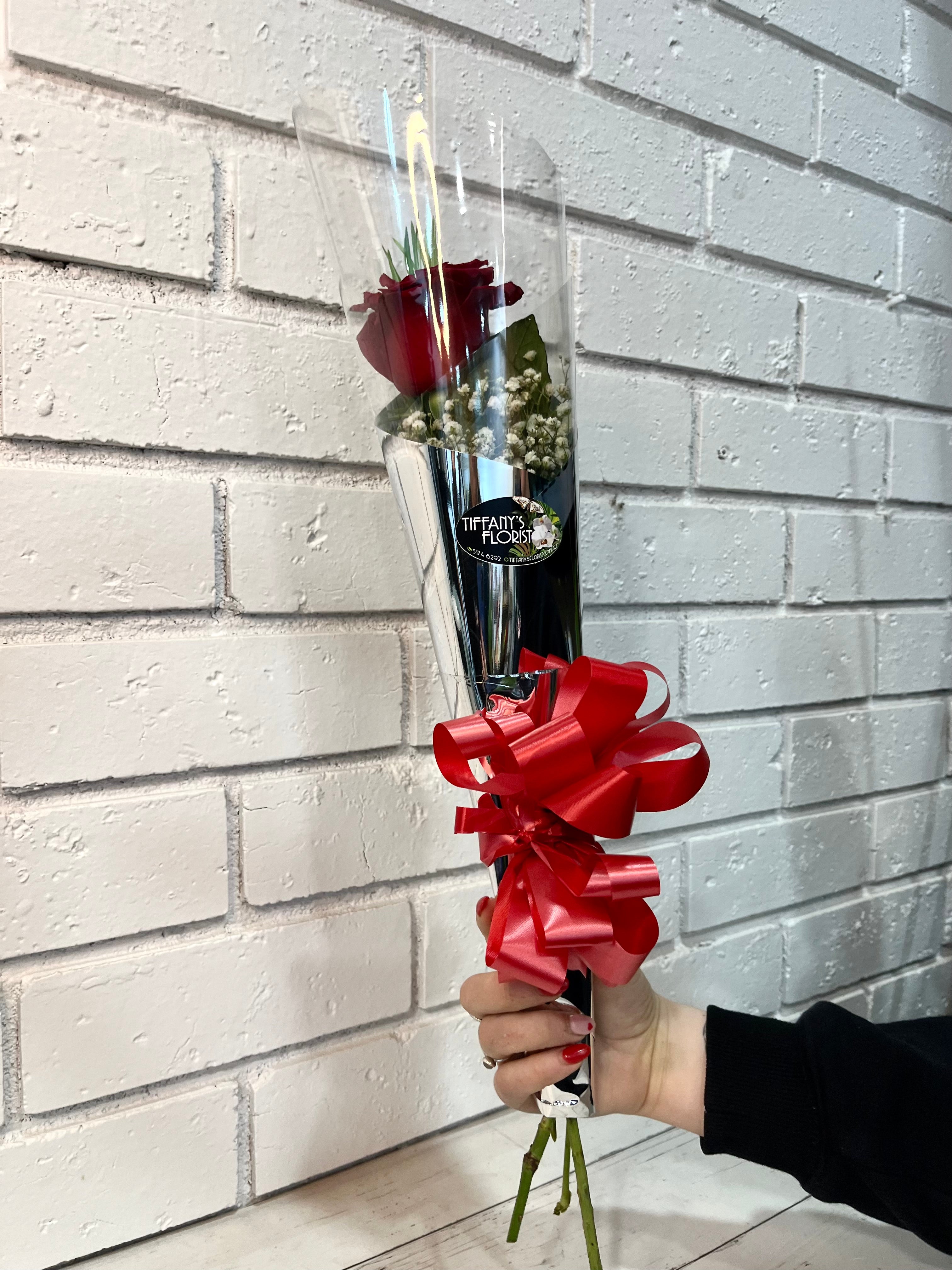Standard Single RED Rose