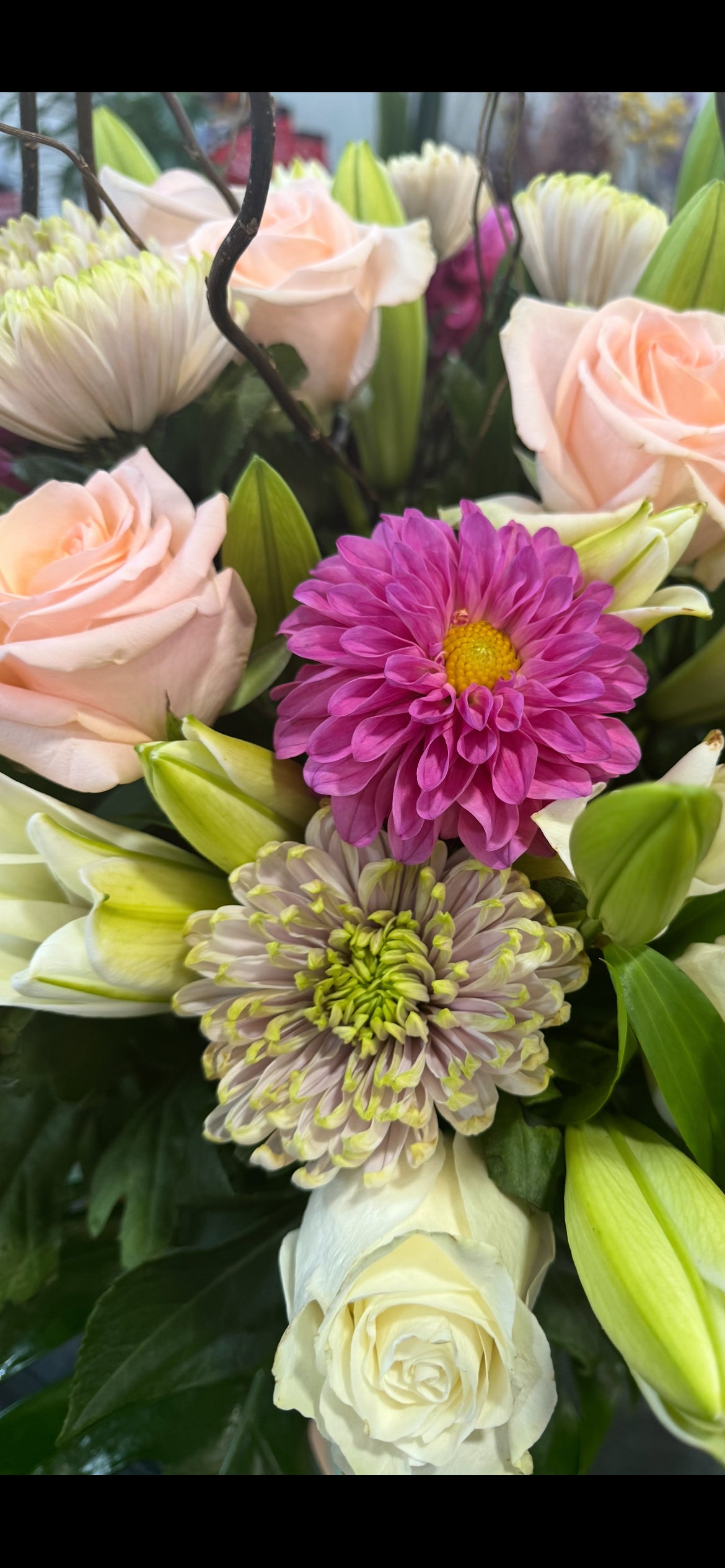 Florist Choice - PASTEL