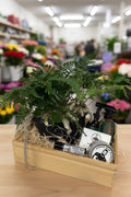 Plant and Pamper Pack